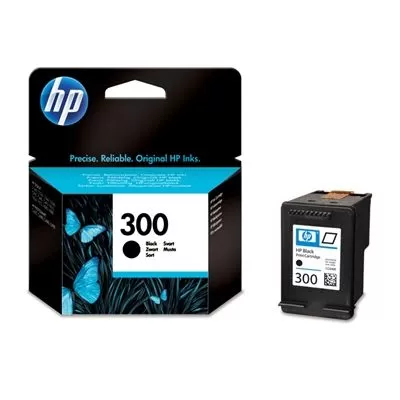 Cartus Inkjet HP 300 Negru CC640EE