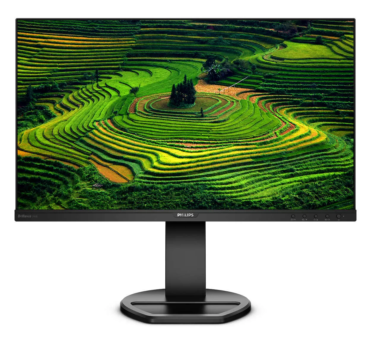 Monitor LED Philips 241B8QJEB 24