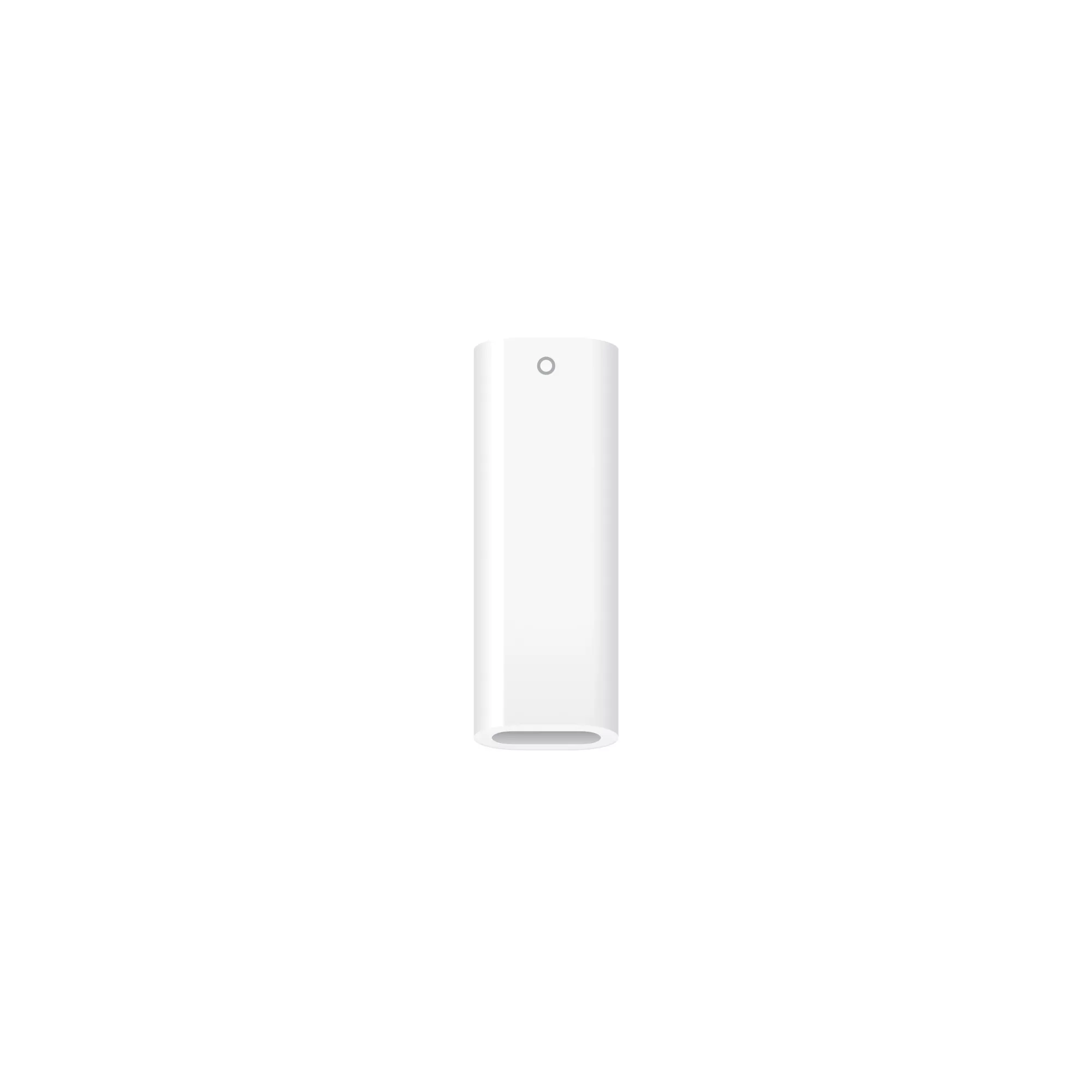 Adaptor Apple MWML3ZM/A  USB-C la Apple Pencil